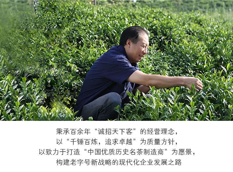 覆膜铁白罐小罐茶应用之谢裕大