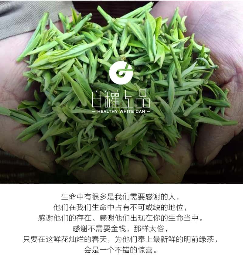 覆膜铁白罐小罐茶应用之谢裕大