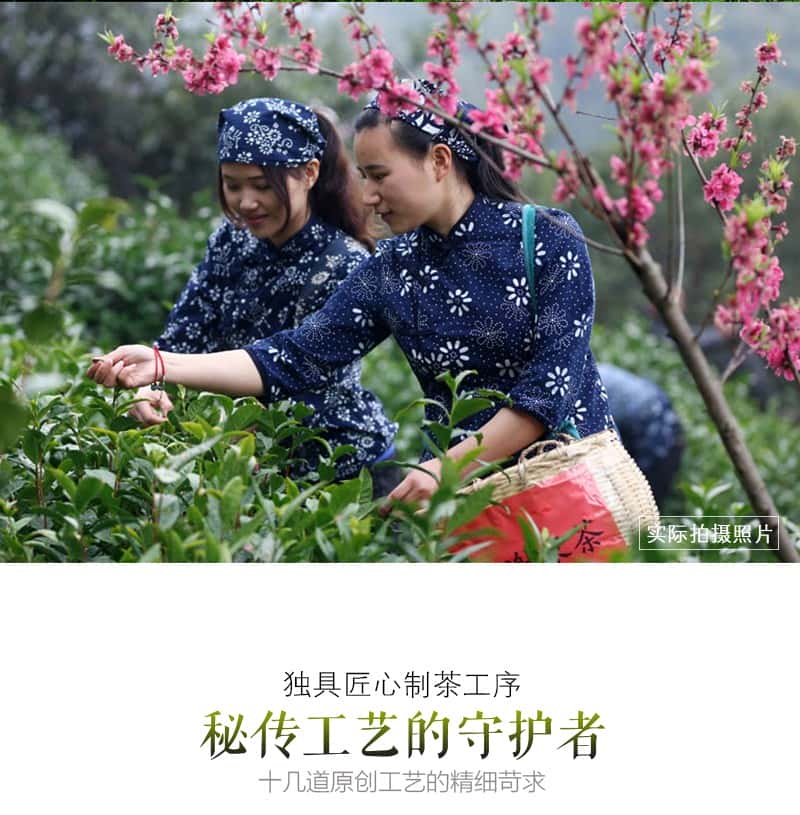 覆膜铁白罐小罐茶应用之谢裕大